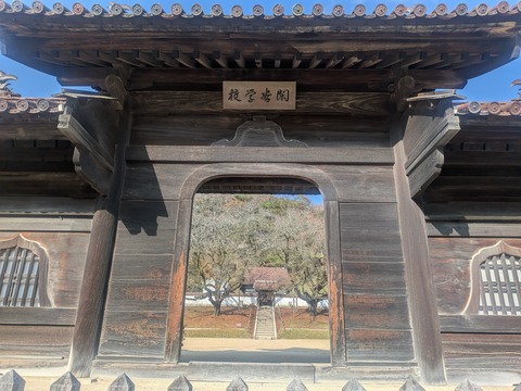 PXL_20251126_043837314