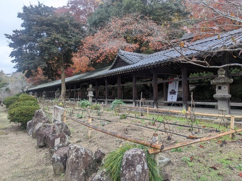 PXL_20251126_010926137