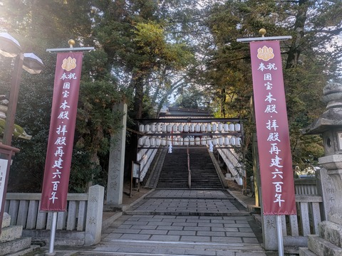 PXL_20251126_005246013