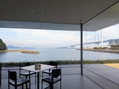 PXL_20260210_014923189~2