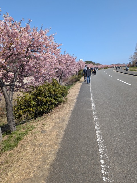 PXL_20260312_015922607