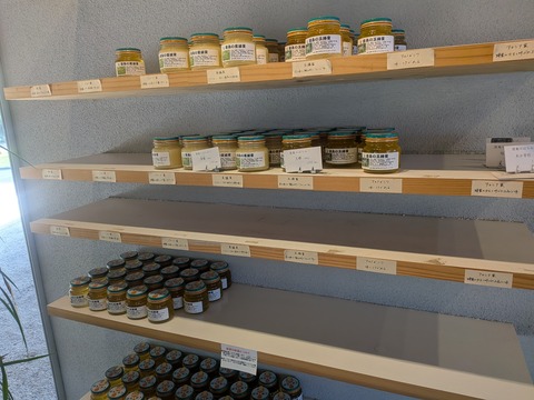 PXL_20251114_024745399