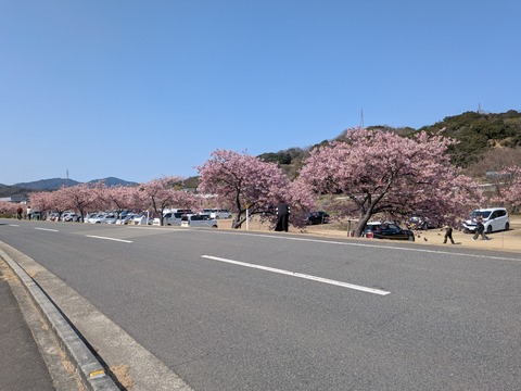 PXL_20260312_015319491