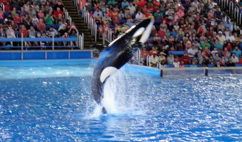水族館②