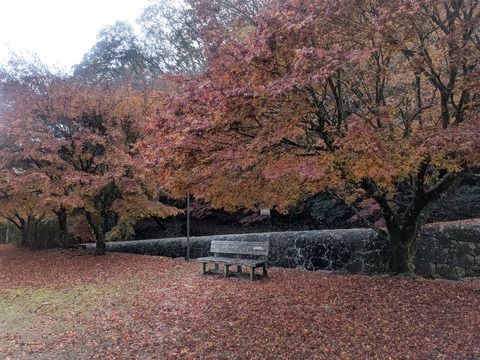 PXL_20251126_051034463