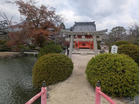 PXL_20251126_011311291~2