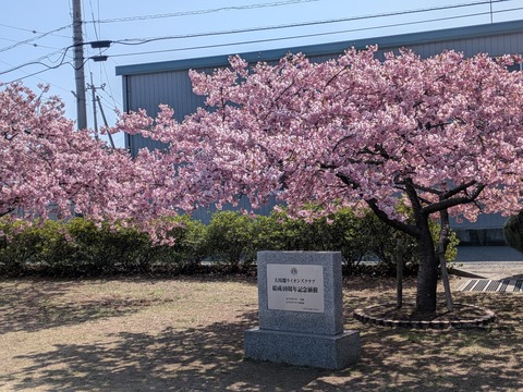 PXL_20260312_015054748