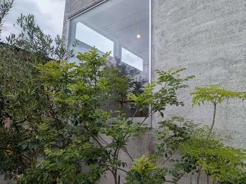 PXL_20250626_021312057