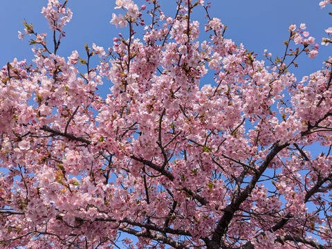 PXL_20260312_020120590