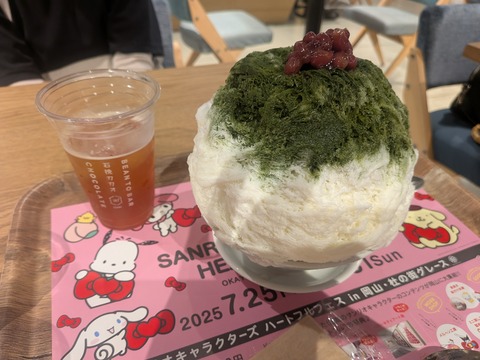 PXL_20250809_060321777