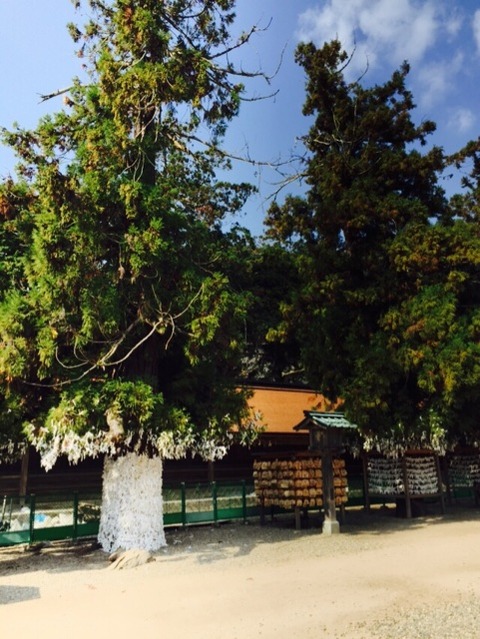 2014-11-07-11-11-05