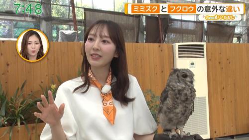 佐々木若葉 おっぱい グッドモーニング ２６１０１９