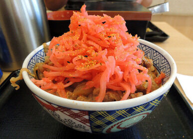 【激怒】有吉弘行さん、牛丼に紅しょうがをドバドバ入れる人に激怒の模様ｗｗｗｗ