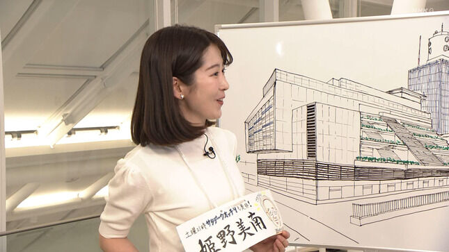 【画像】姫野美南アナ ニットの横乳とタイトスカートの腰回り！！【GIF動画あり】