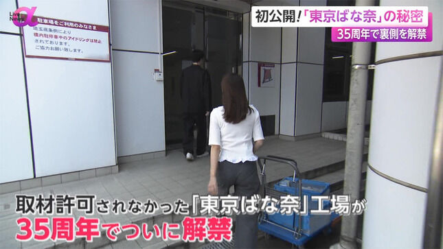 【画像】堤礼実アナ パン線とブラ線が食い込んでしまうレポート！！【尻】