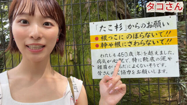 【画像】今井春花キャスター ノースリーブからブラ紐がはみ出すハプニング！！【GIF動画あり】