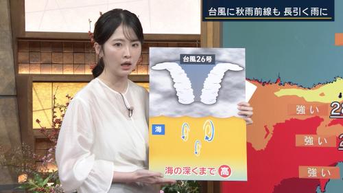 細川栞 キャミ透け 報ステ ２６１０１６