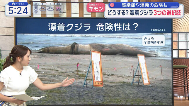 【画像】三山賀子アナの巨乳がニットで目立ってしまう！！【GIF動画あり】