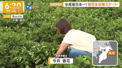 今井春花 腋チラ サンデーモーニング ２６１００２
