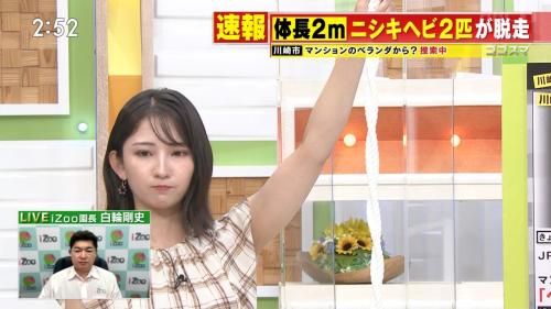 友廣南美 エッチな腋 ゴゴスマ ２６０９１０