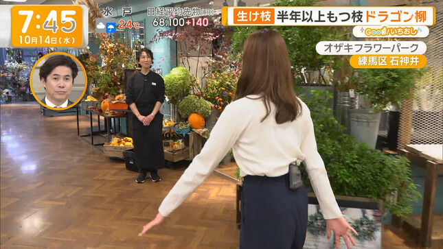 【画像】田原萌々アナ ニットの豊乳とお尻がクッキリレポート！！【GIF動画あり】