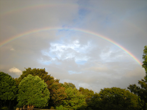 201109_rainbow_6786_w800