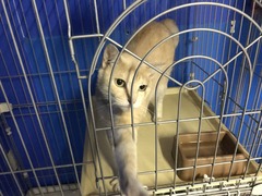 AF4A046E-D774-49E2-BB22-B579E3489B83