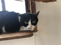 807567C5-EB8B-444E-B15F-CE61AC5A427E