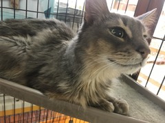 7D16E347-C6EC-4BD4-8065-EEBBD5AB74AC