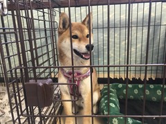 4B3AC1F3-F987-41BE-A500-6022F9F9FDCF