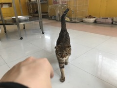 DF2EB418-5196-4FCE-9265-50B39A1513AA