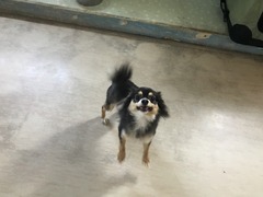 33365FC1-EFE6-4315-99E3-44F090CE1138