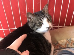 3055339C-73E8-4CA5-92F5-343FA6EC81A9