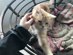 81D620B2-A9B2-4B3D-B66D-A313F25F5A1D