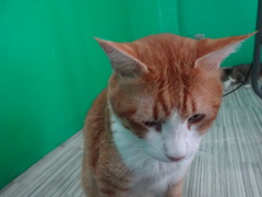 DSC08307