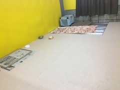 6F93512C-342B-45EF-A864-D7A80796D991