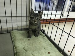 1E3A5D44-77E5-4D0D-95E0-D9084B2CF3CA