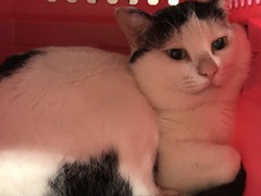 83F0A3E3-2E9C-4130-AD7C-D704E3E74336