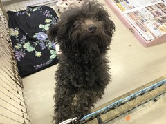 4C4F68C1-A351-4EEA-B5AD-1AC5345E301E