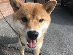 B0E33D44-9AF3-4DF6-8DDA-CEAB79B2F6C1