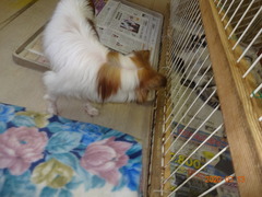 DSC07501