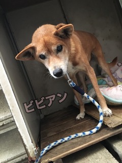 6C454333-212D-4FCF-8C31-3F22590DBE03