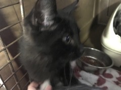 E4C0ACA0-7AED-4EC7-839D-2AA2E2CE05F1