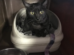 0DE61E89-015B-4284-8299-C9AC9C93720B