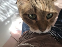 E5A242CE-6E10-41E2-9C1E-BA83D6EE9A2C