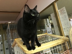 130C4B08-7956-40A9-888D-C96E3DD218E7