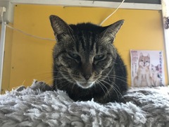 02215377-0213-43DE-B30B-A590FD651FFF