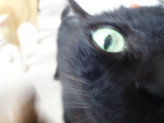DSC05362