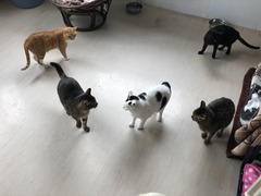 EA1B9CB9-CA62-4483-AC2E-FE718538A840