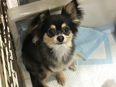 645E9CB0-D1BC-449F-87B6-A870E4DA6DF8